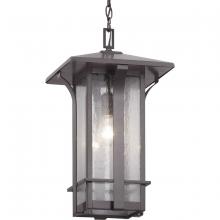 Progress P550045-020 - P550045-020 1-100W MED HANGING LANTERN