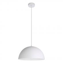  205291A - Rafaelino 1-Light Suspension