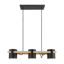  43045A - Hornwood 3-Light Pendant