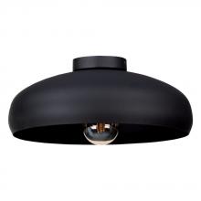  43637A - Mogano 1L Ceiling Light