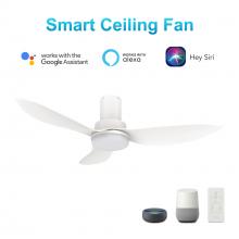Carro USA VS363V2-L12-W1-1-FM - Ryna 36&#39;&#39; Smart Ceiling Fan with Remote, Light Kit Included?Works with Google Assistant and