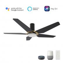 Carro USA VS525B-L22-B2-1G-FM - Woodrow 52-inch Smart Ceiling Fan with Remote, Light Kit Included, Works with Google Assistant, Amaz