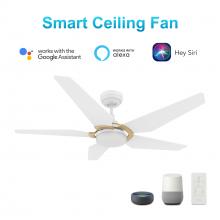 Carro USA VS525B-L22-W1-1G - Woodrow 52-inch Smart Ceiling Fan with Remote, Light Kit Included, Works with Google Assistant, Amaz