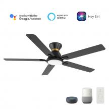 Carro USA VS525J-L12-B2-1-FM - Espear 52&#39;&#39; Smart Ceiling Fan with Remote, Light Kit Included, Works with Google Assistant,