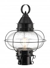  1321-BL-SE - Cottage Onion Outdoor Post Lantern - Black with Seeded Glass