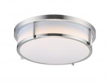  10272WTSN - Rogue E26-Flush Mount