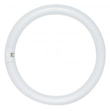  S6502 - 22 Watt; T9; Circline Fluorescent; 3000K Warm White; 52 CRI; 4-Pin base