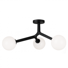  X81503BKOP - RAMI Ceiling Mount