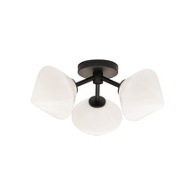  X81743BKOP - Novo Ceiling Mount