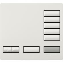  LFK-T5RL-SW - LARGE 5 BUTTON FACEPLATE KIT SW