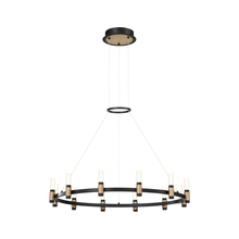 Eurofase 37043-018 - Albany, Chandelier, 12LT , LED, Blk