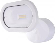 Security Lights