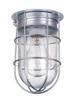  BL04CWG - Barn Lighting, Ceiling/Wall Mounting (with Guard), A19 Bulb, 100 Watts, 4 1/2" x 7"