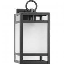  P560342-31M - P560342-31M 1-L WALL LANTERN