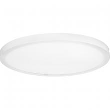  P810018-030-30 - P810018-030-30 18IN EDGELIT FLUSH MOUNT