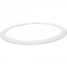  P8585-01 - P8585-01 GOOF RING FOR 6in HSNG