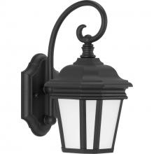 Progress P6630-31MD - P6630-31MD 1-100W MED WALL LANTERN