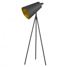  TF70036BK - Faza 1-Light Matte Black Floor Lamp