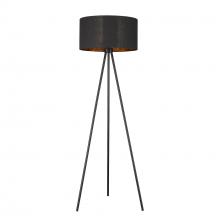  TF70095BK - Morenci 1-Light Matte Black Floor Lamp