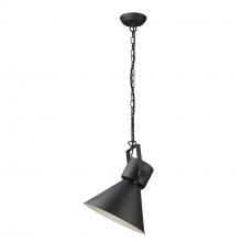  TP10026BK - Crew 1-Light Matte Black Pendant