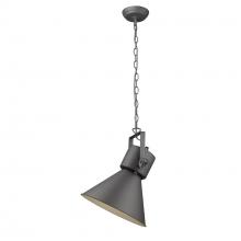  TP10026GY - Crew 1-Light Gray Pendant