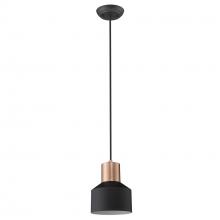  TP30065BK - Ingo 1-Light Matte Black Pendant