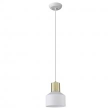  TP30065WH - Ingo 1-Light White Pendant