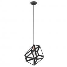  TP30081BK - Hedron 1-Light Matte Black Pendant