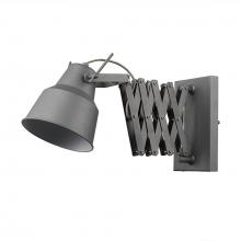 Acclaim Lighting TW40060GY - Plexus 1-Light Gray Sconce