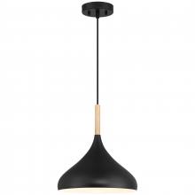  52086-BL/WGN - 1 Light Pendant