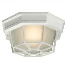  301401WH - Outdoor Cast Alum. Ceiling Fixture - White w/ Frosted Glass