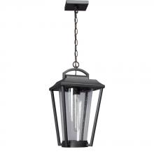  324844BK - CHAIN HUNG Fixture BK