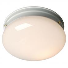  ES810212WH - Utility Flush Mount Ceiling Light - in White finish with White Glass