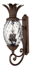  2225CB - Extra Large Wall Mount Lantern