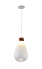  DLS30P10W - Metal & Glass Pendant