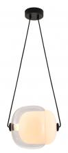  DLS38P12W - Metal & Glass LED Pendant