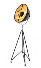  DLS74F23B - Metal Floor Lamp