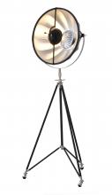  DLS75F23B - Metal Floor Lamp