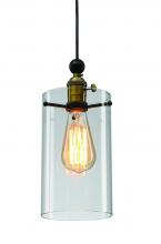  DU39 - Black & Brass Single Pendant Lighting