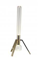  ZD13T25G - Metal & Glass LED Table Lamp