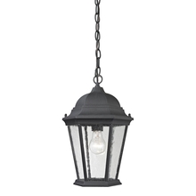 ELK Home 8101EH/65 - Thomas - Temple Hill 10&#39;&#39; Wide 1-Light Outdoor Pendant - Matte Textured Black